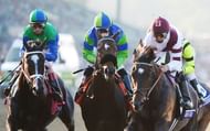 Jockey Mike Smith riding Royal Delta (R) won his16th Breeders' Cup